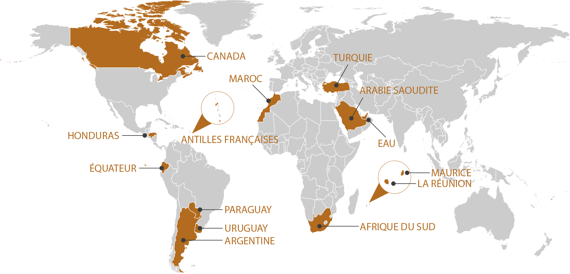 RGIS_FRANCHISE_WORLD_CAFR RGIS_FRANCHISE_WORLD_CAFR